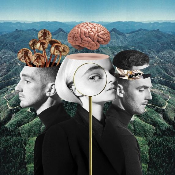 clean-bandit_what-is-love